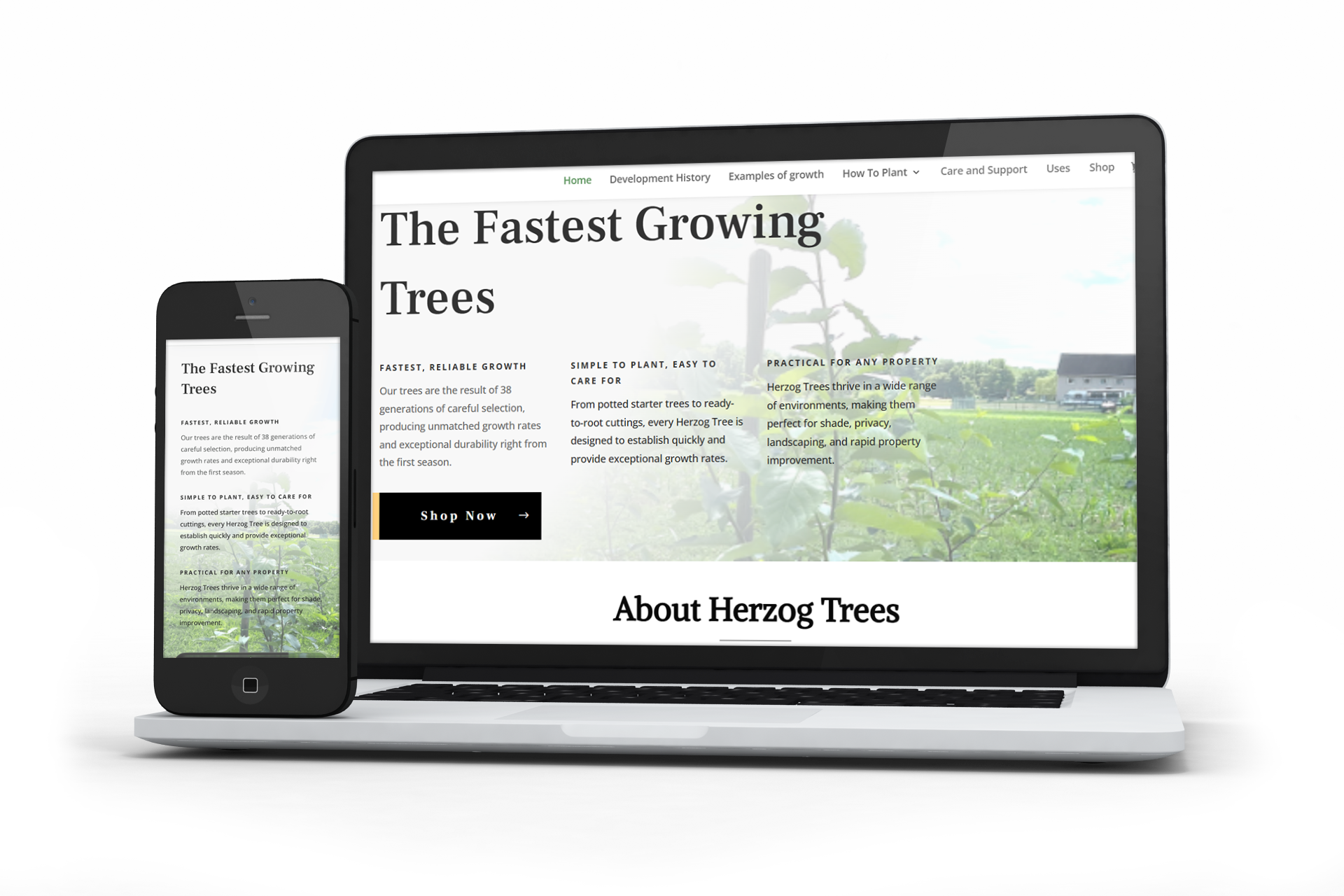 Mockup devices of a laptop and a phone displaying Herzog Trees website